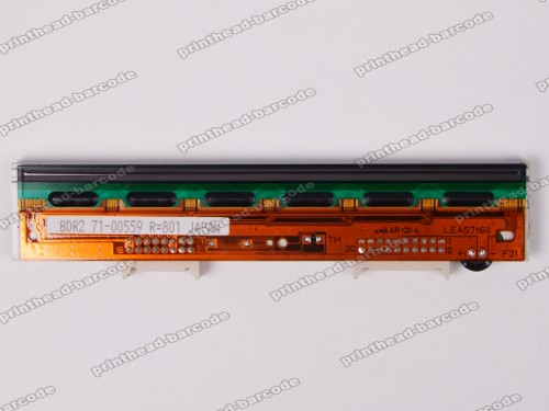 Printhead for Datamax M4206 M4208 20-2220-01 Original